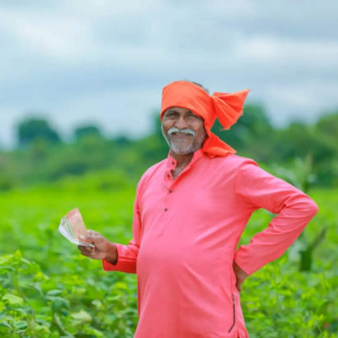 इन गलतियों से रुक सकती है किस्त