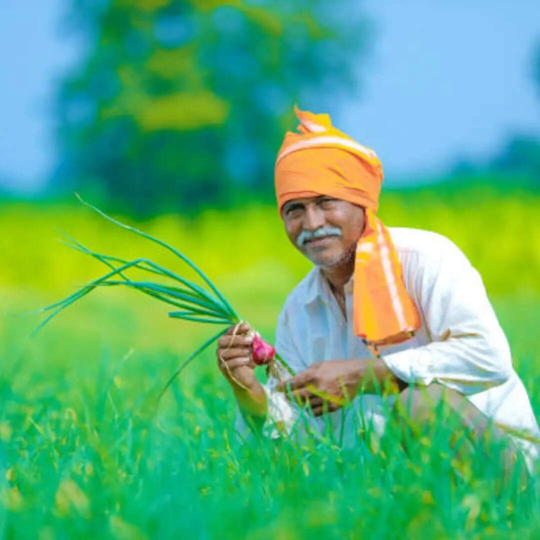 लाभार्थी सूची में नाम कैसे चेक करें