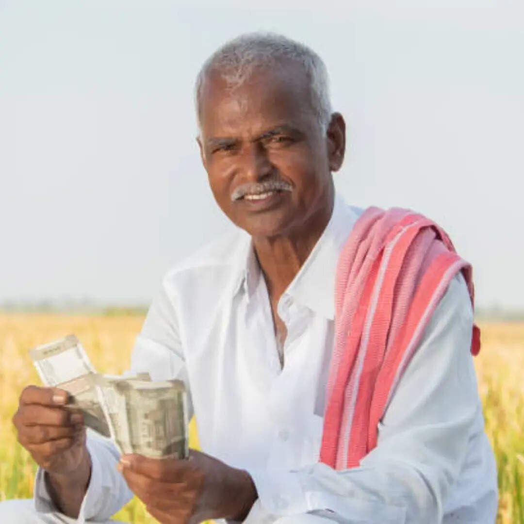 आवेदन की स्थिति ऑनलाइन चेक करें