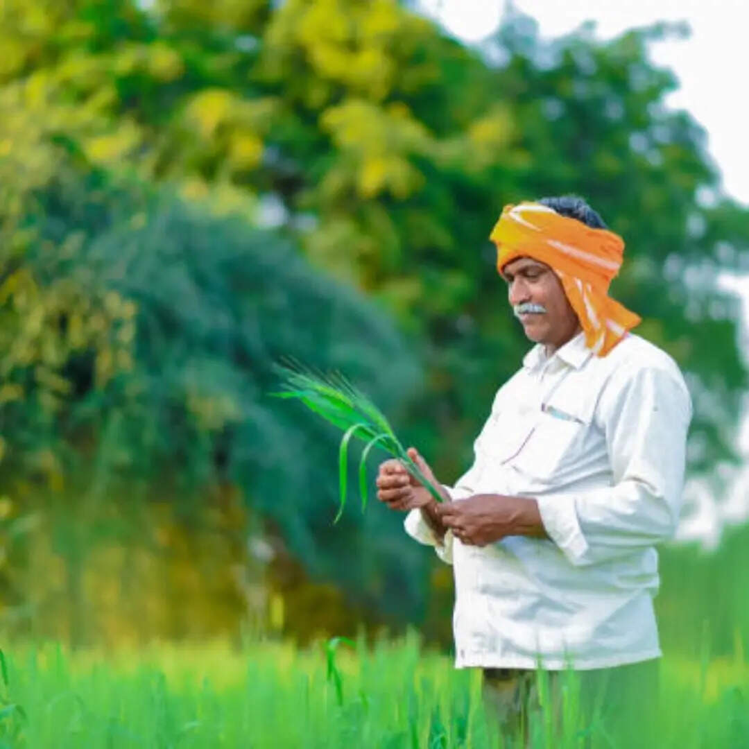 ई-केवाईसी पूरा न किया तो लाभ रुक सकता है