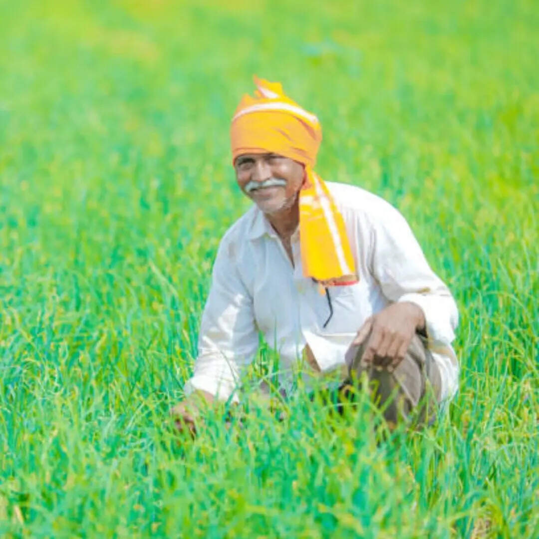 5 किसानों को लेने होंगे ये जरूरी कदम