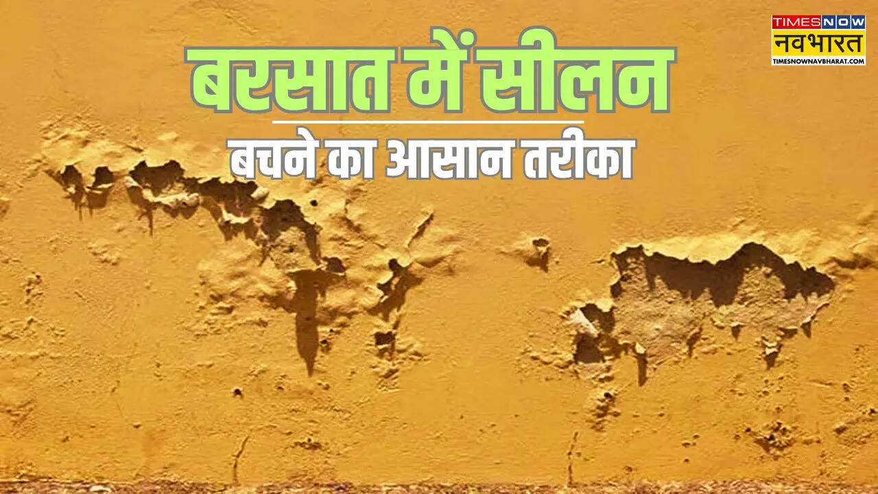 बरसात में सीलन को कैसे रोकें