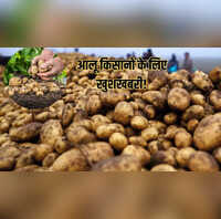 आगरा में बनेगा इंटरनेशनल आलू सेंटर किसानों की आमदनी बढ़ाने को मोदी सरकार का मास्टरस्ट्रोक