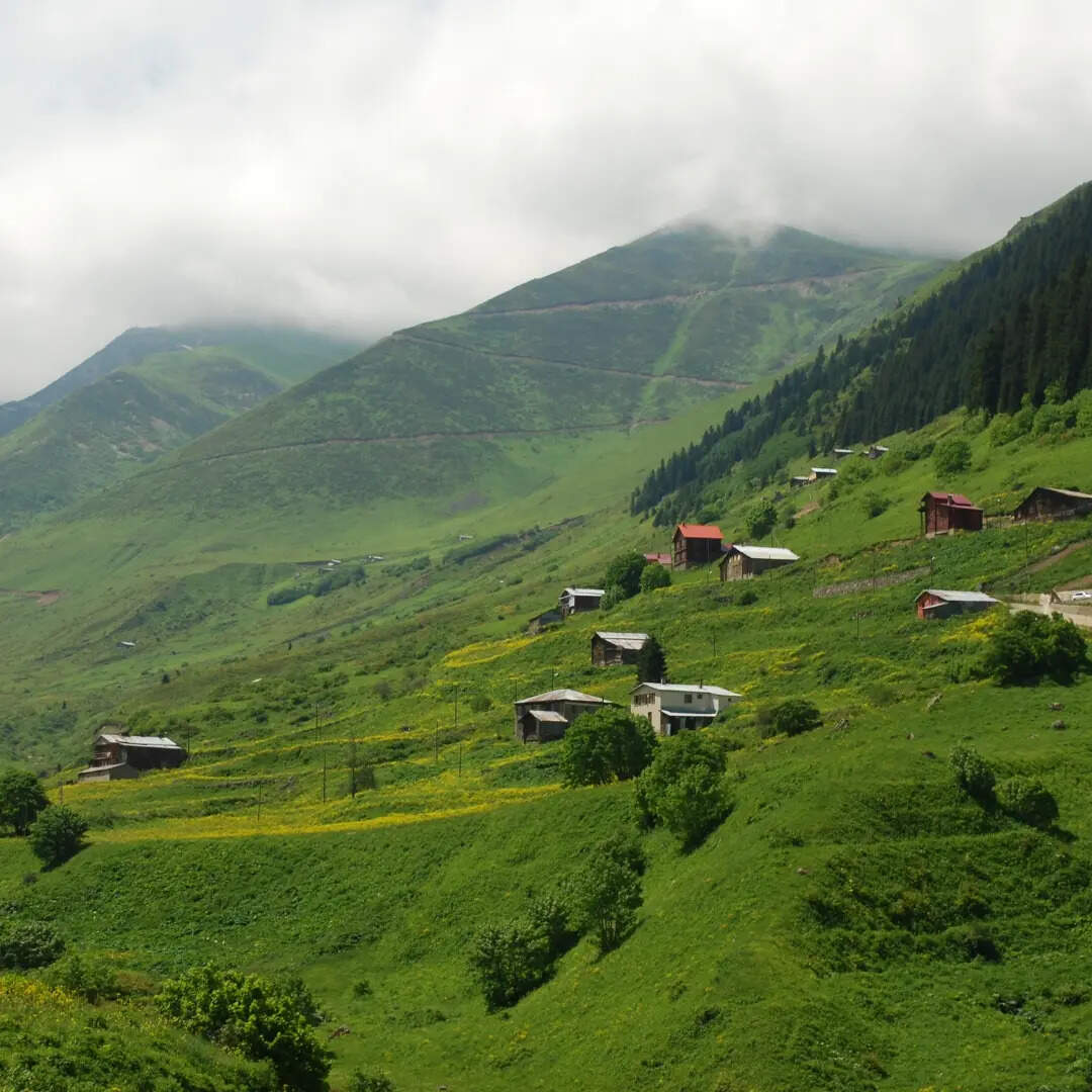 ​कलपथरु, हिमाचल प्रदेश​