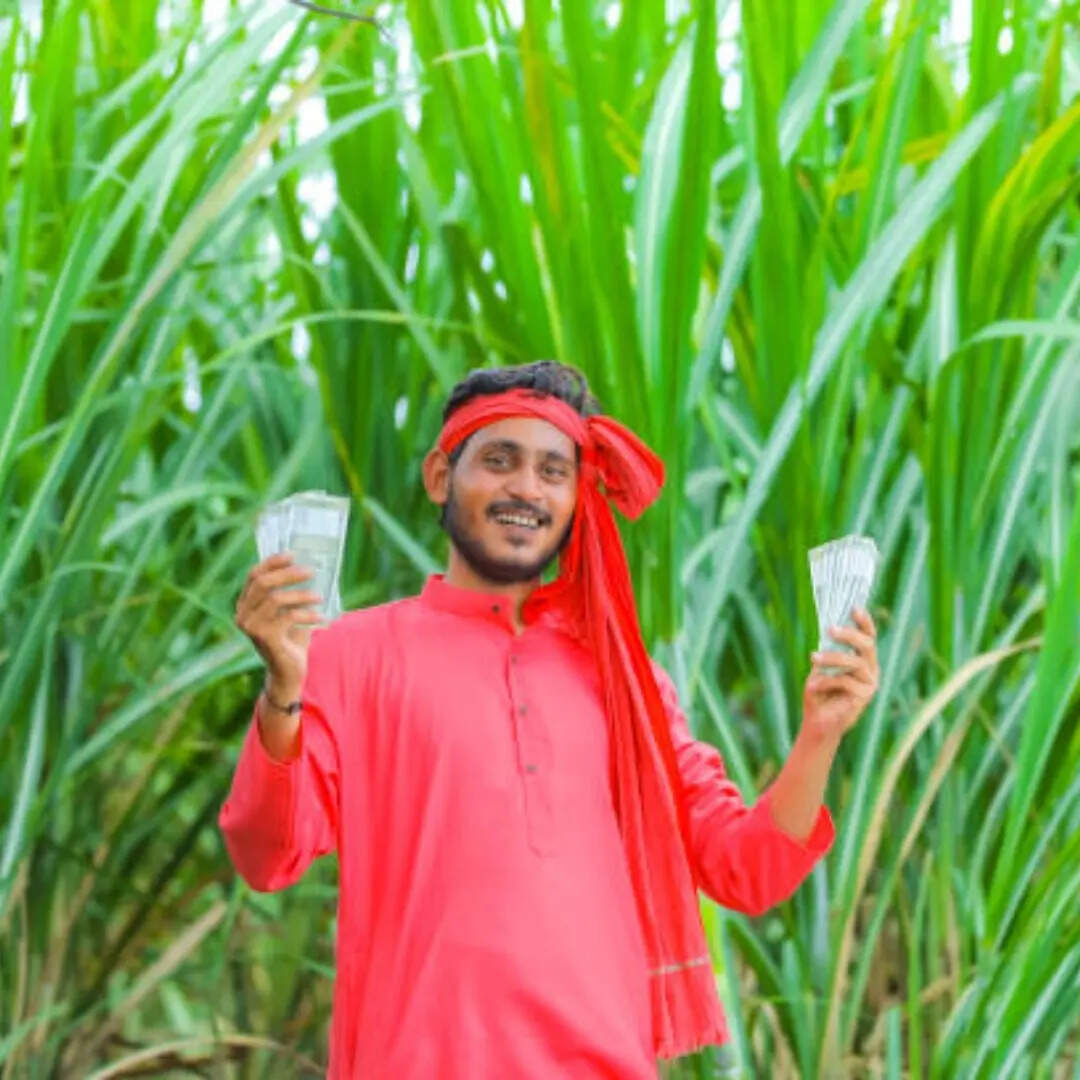 किस्त का स्टेटस कैसे चेक करें