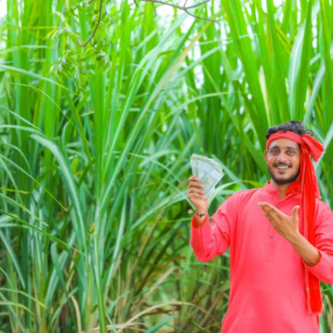 पीएम किसान योजना क्या है