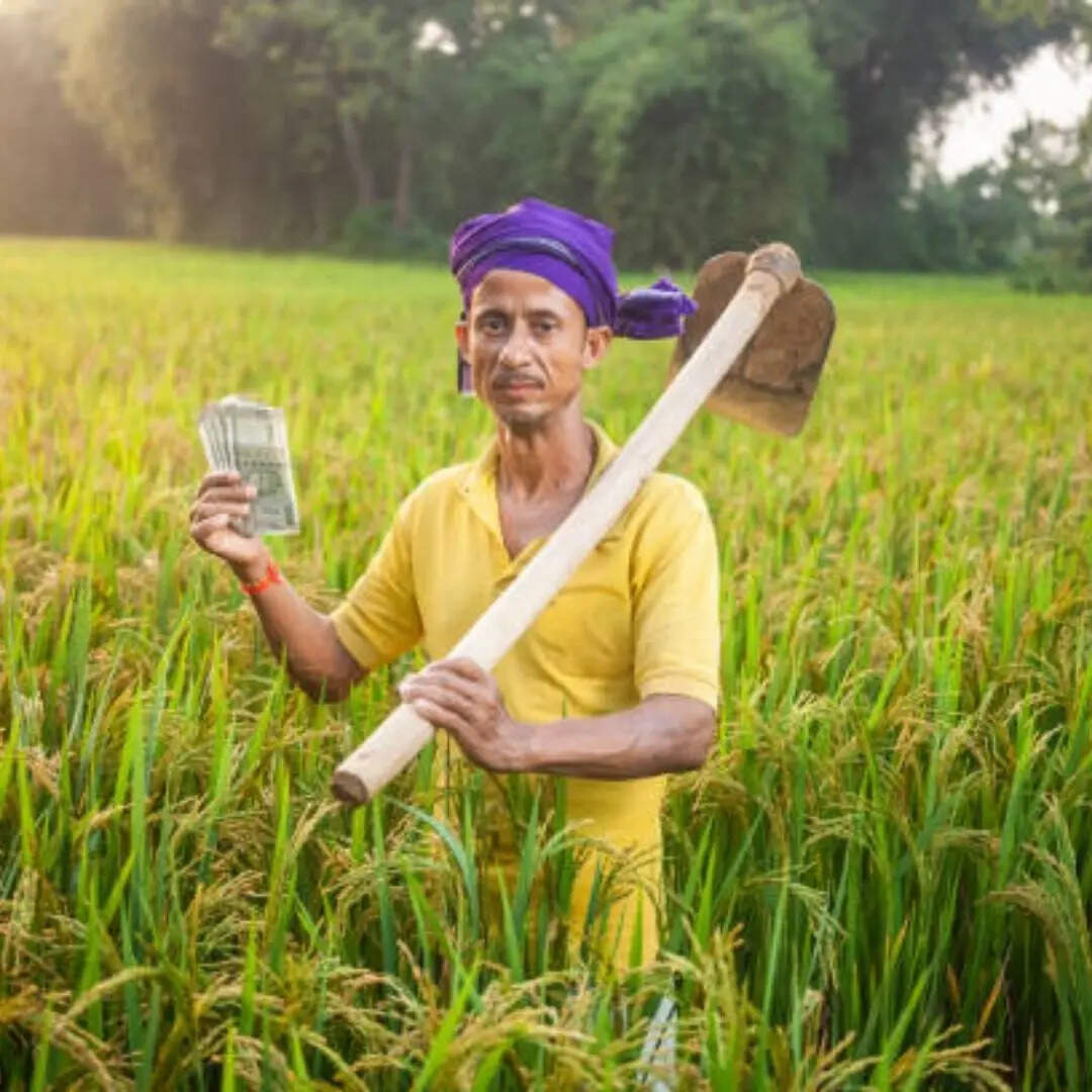 पीएम किसान के लिए ई-केवाईसी जरूरी क्यों है