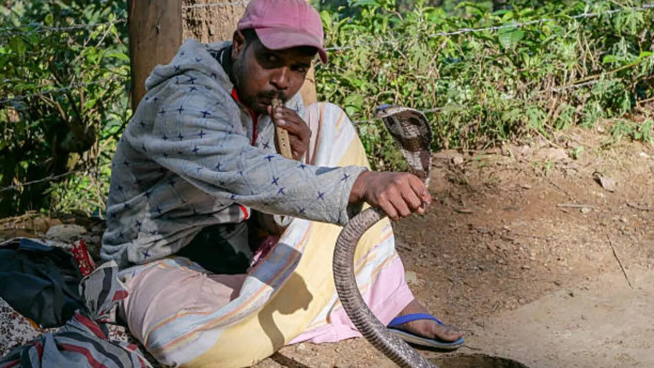 मूत्राशय में आ गई दिक्कत