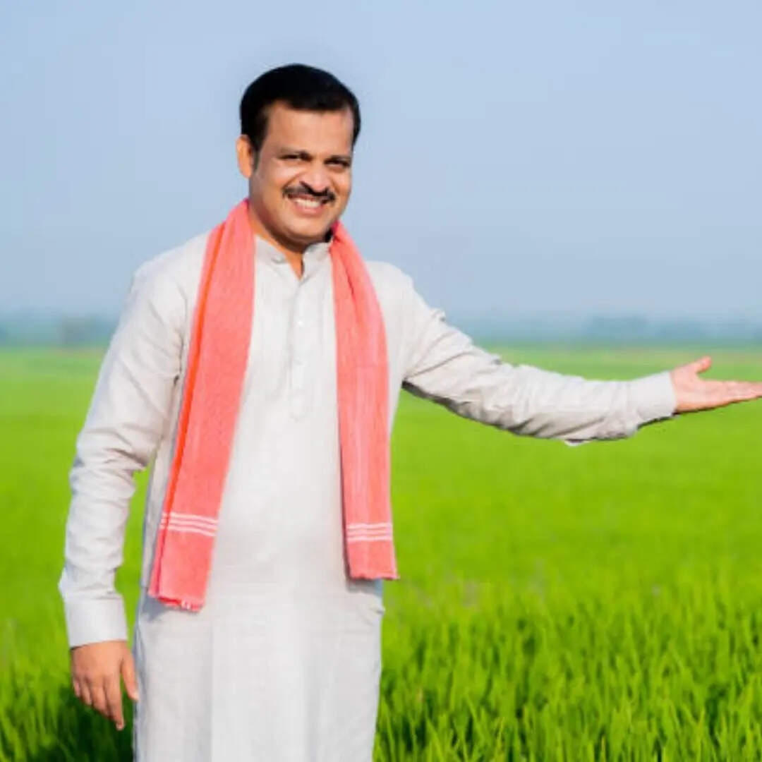 ऑनलाइन टूल्स की मदद से खुद भी सुधार सकते हैं