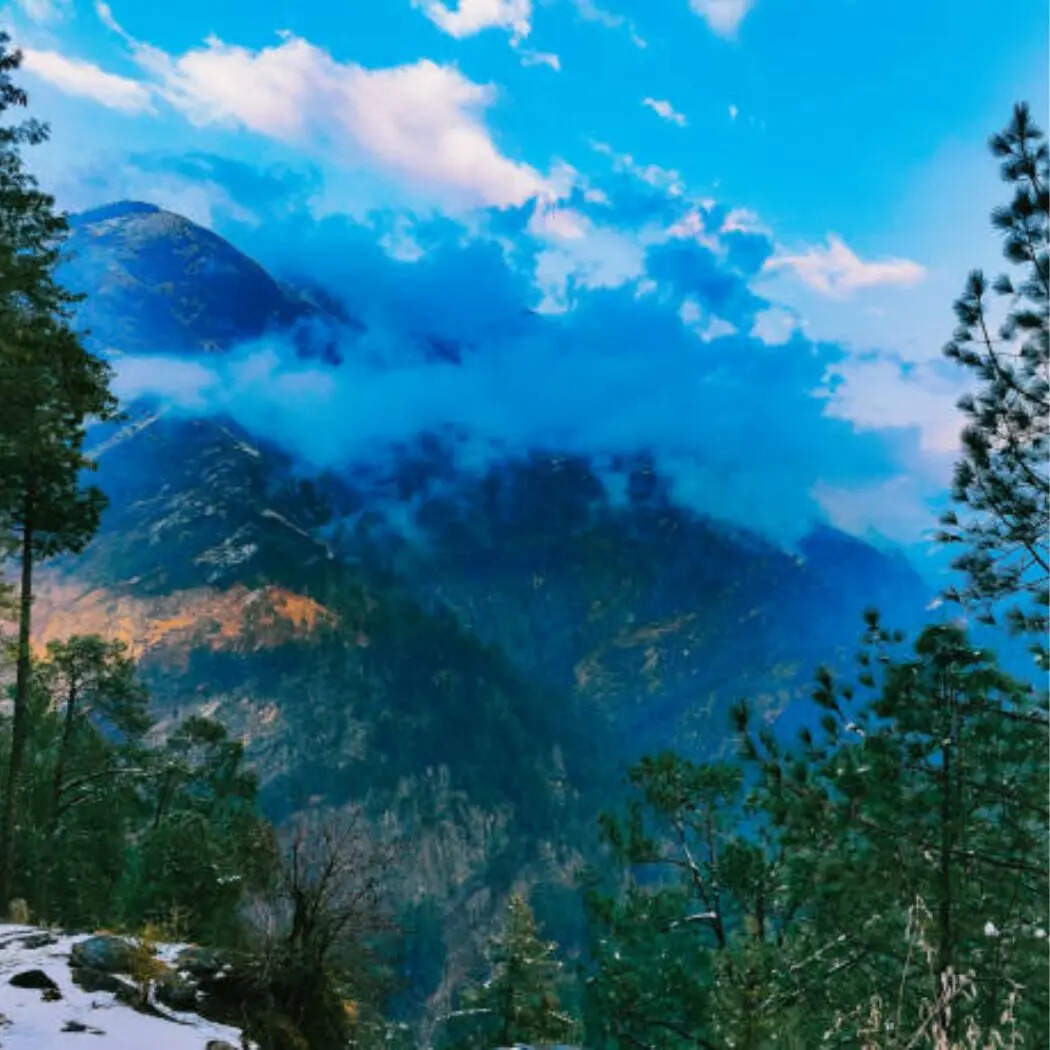 कसौली