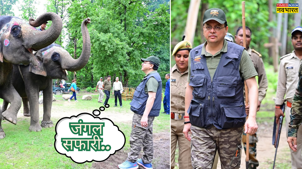 घने जंगलों में प्रकृति का आनंद ले रहे CM पुष्कर धामी सुहाने मौसम में रोमांच का अनुभव करने के लिए बस पहुंच जाएं यहां दिल्ली से इतनी है दूरी