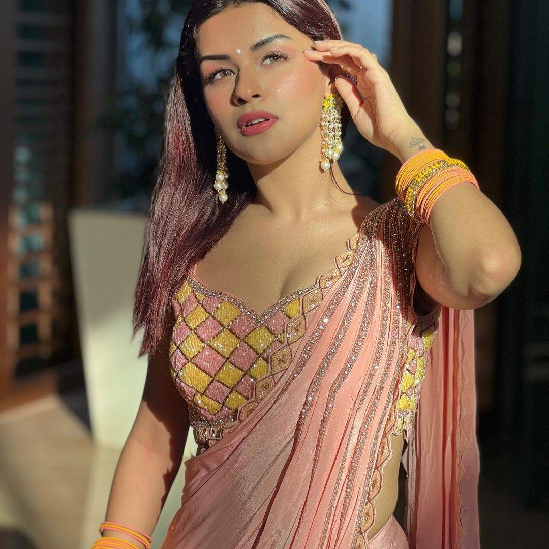 शिमर सिल्क साड़ी