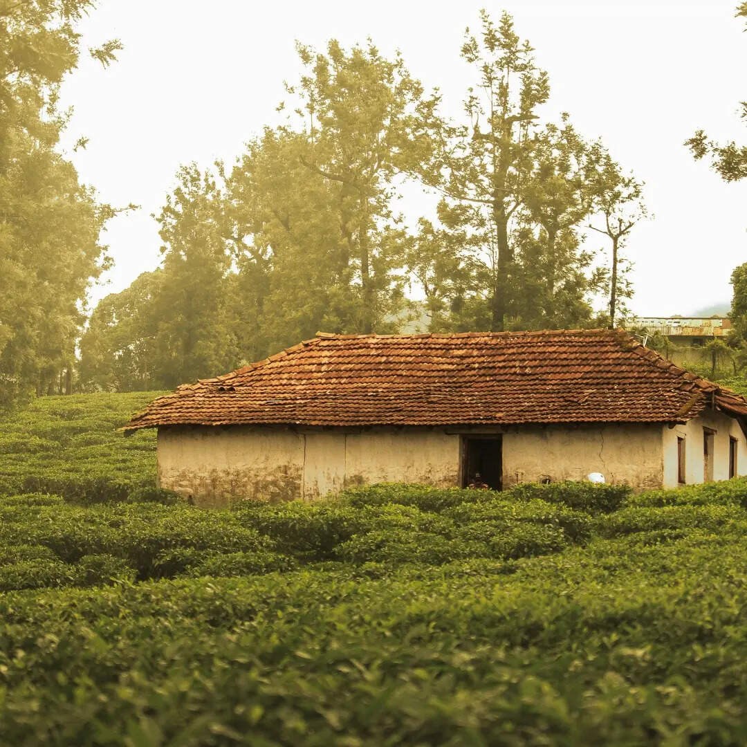 अन्य आकर्षण