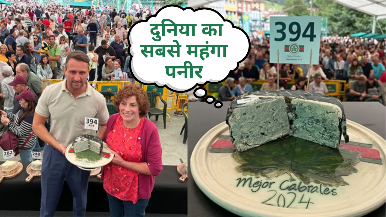 ये है दुनिया का सबसे महंगा Cheese , महीनों तक गुफा में सड़ाकर बनाया, कीमत  है लाखों में