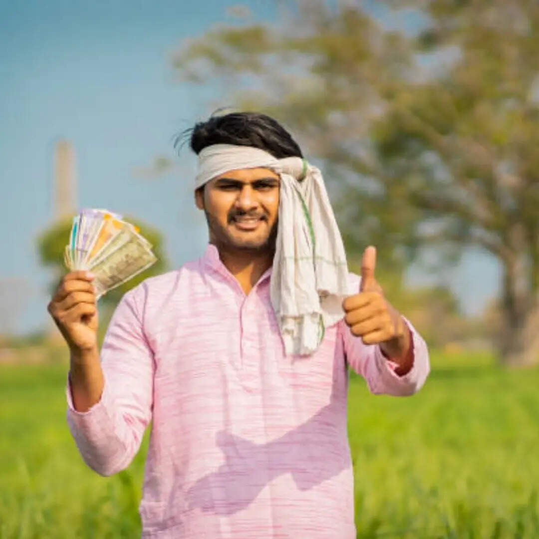 पीएम किसान वेबसाइट से चेक करें स्टेटस​