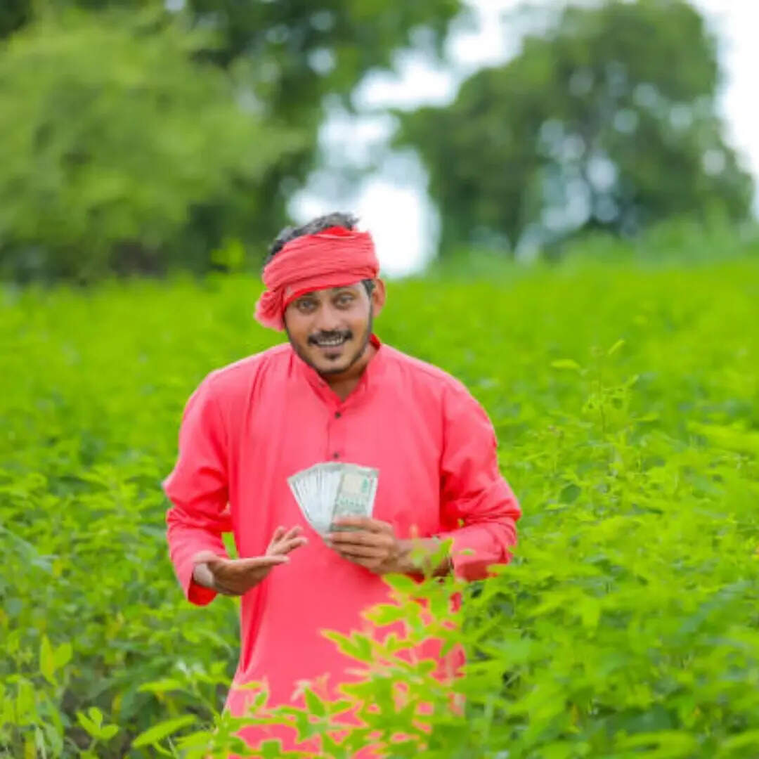 कैसे चेक करें पीएम किसान योजना की किस्त आई या नहीं?​
