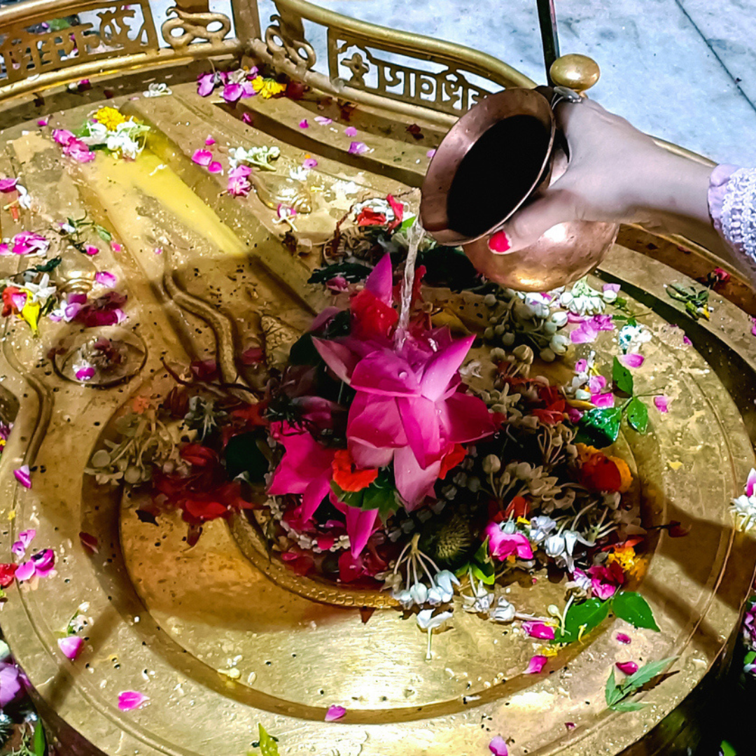 ताजा शुद्ध जल​