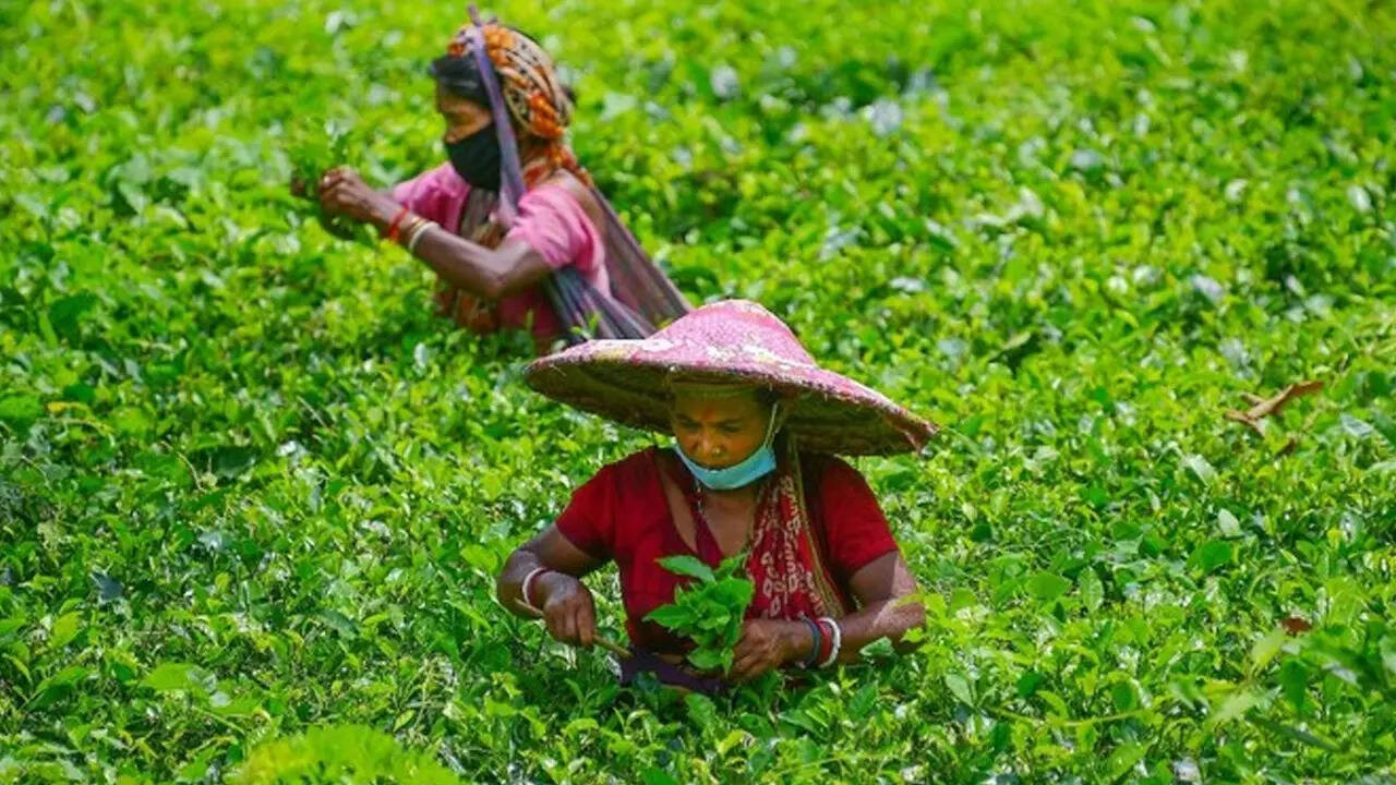 पश्चिम बंगाल