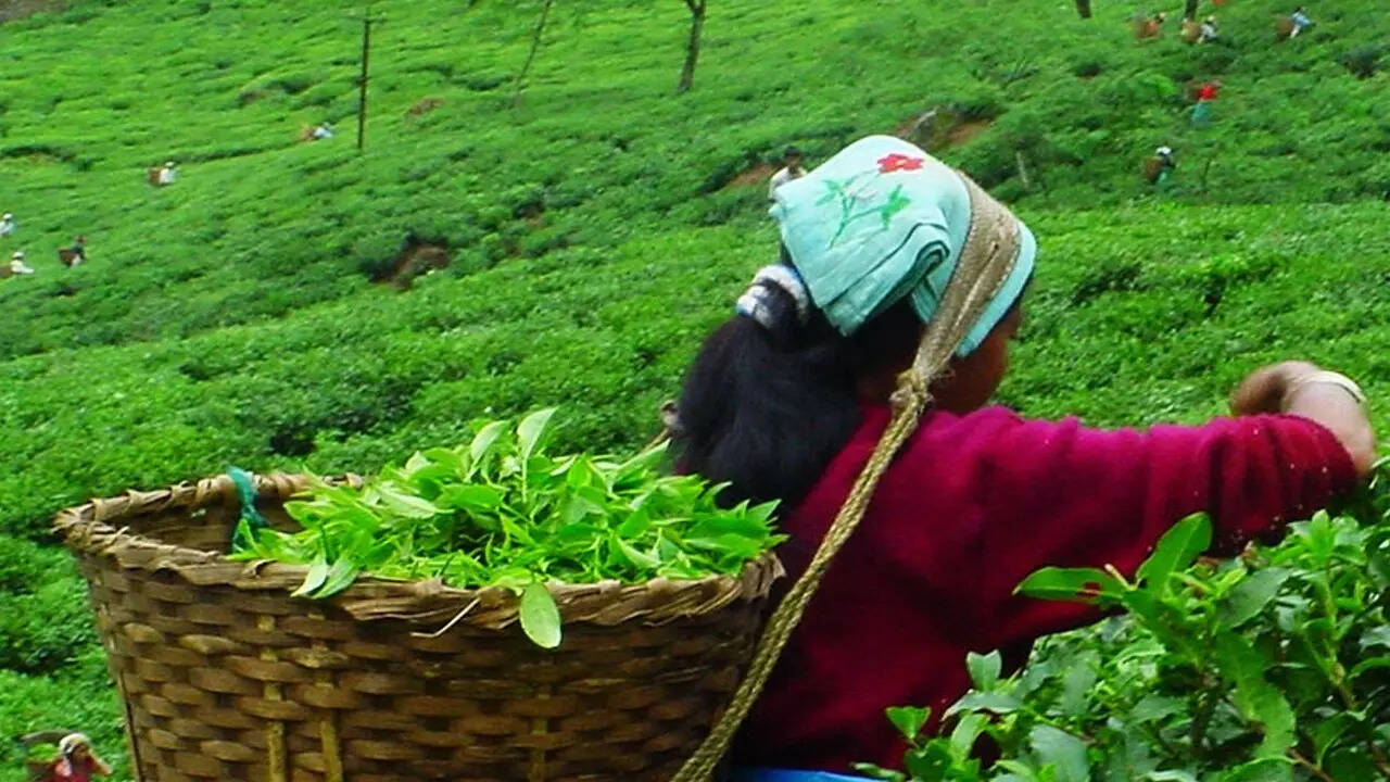 तमिलनाडु