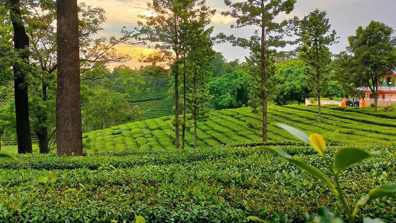 हिमाचल प्रदेश
