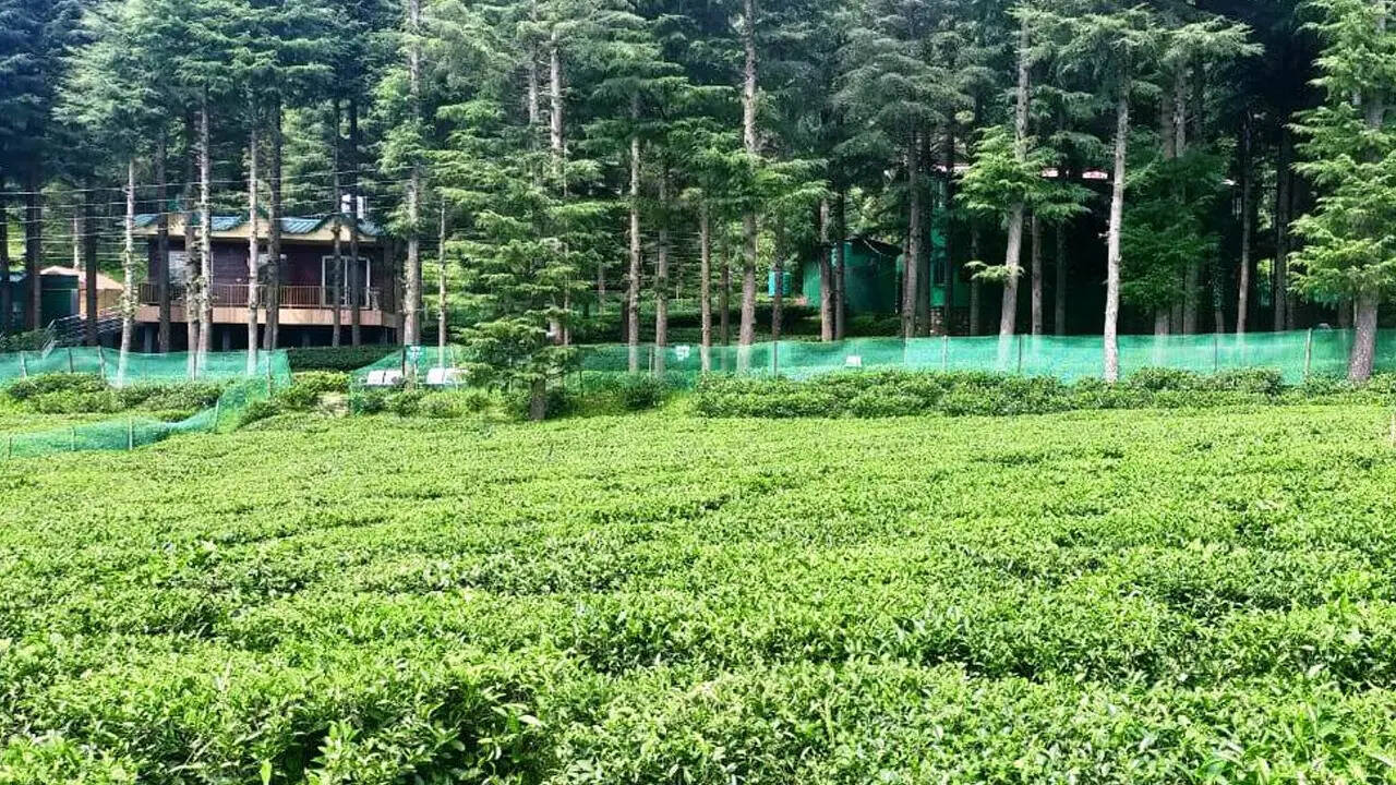 उत्तराखंड