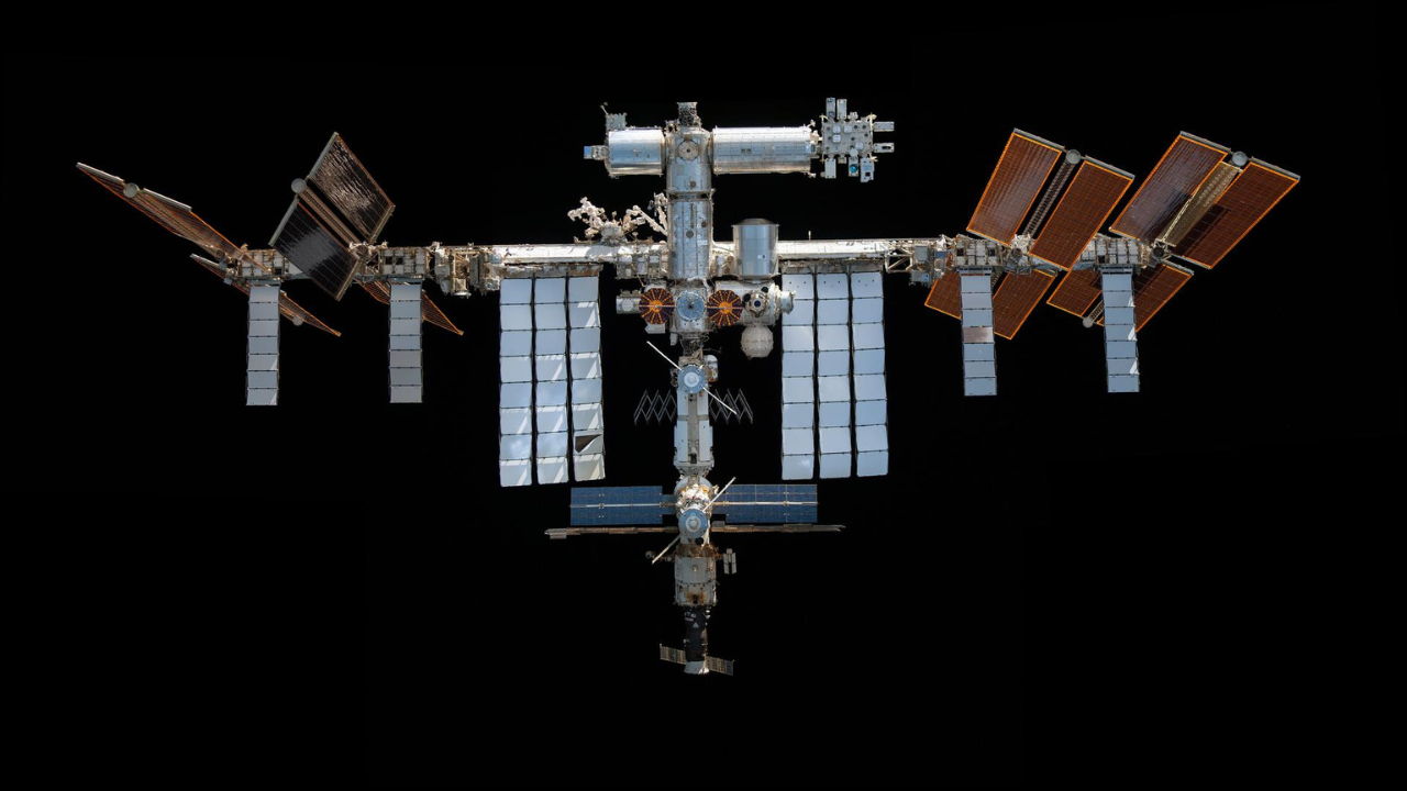 माइक्रोग्रैविटी (Microgravity) का प्रभाव