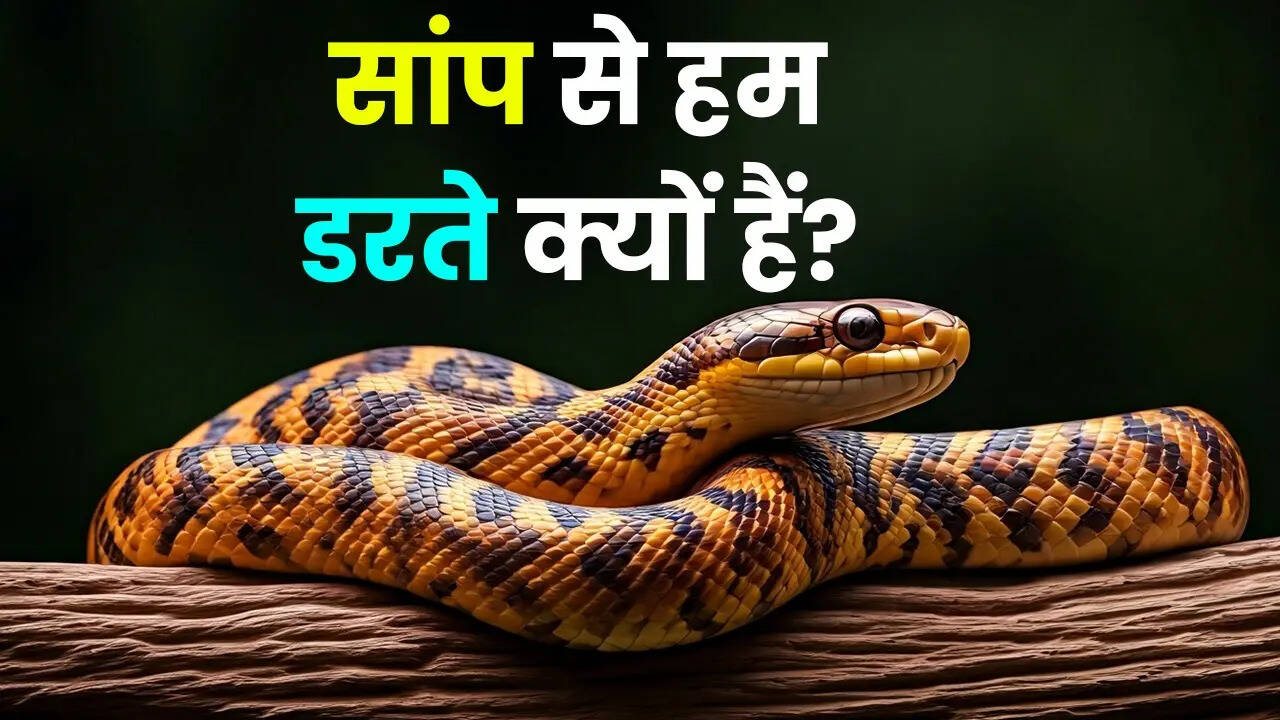 सांपों का जहरीला होना