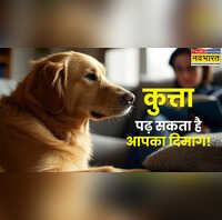 वफादार तो है ही पर इंसानों का चेहरा कैसे पढ़ लेता है कुत्ता शोधकर्ताओं ने उठाया रहस्य से पर्दा