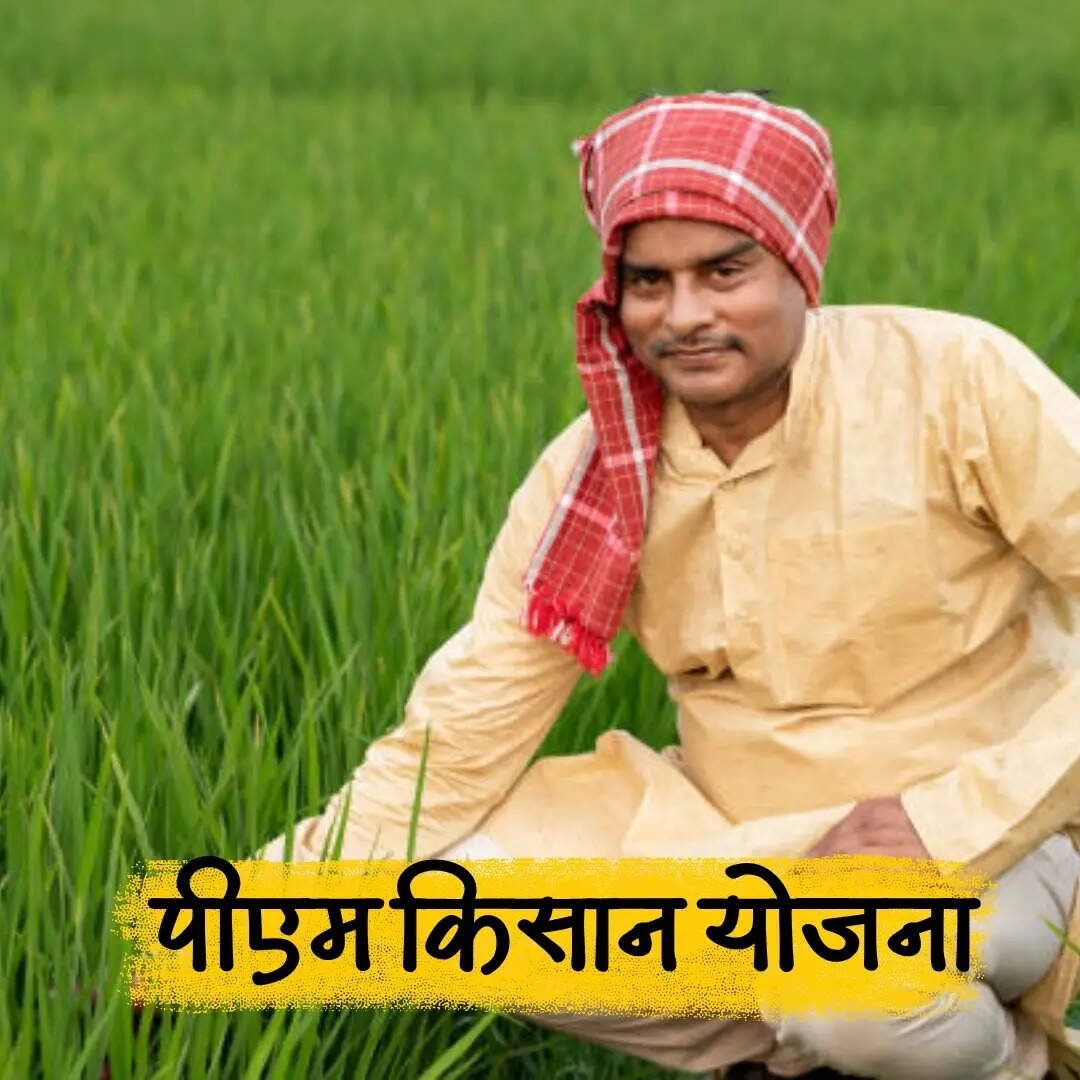 समस्या की स्थिति में कहां करें संपर्क​