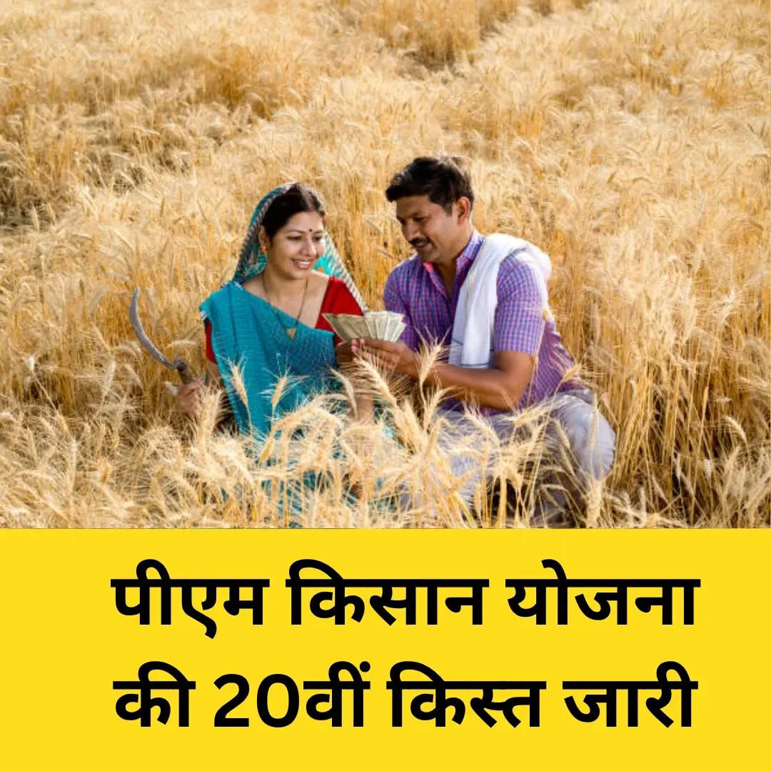 ऐसे करें स्टेटस चेक- स्टेप बाय स्टेप तरीका