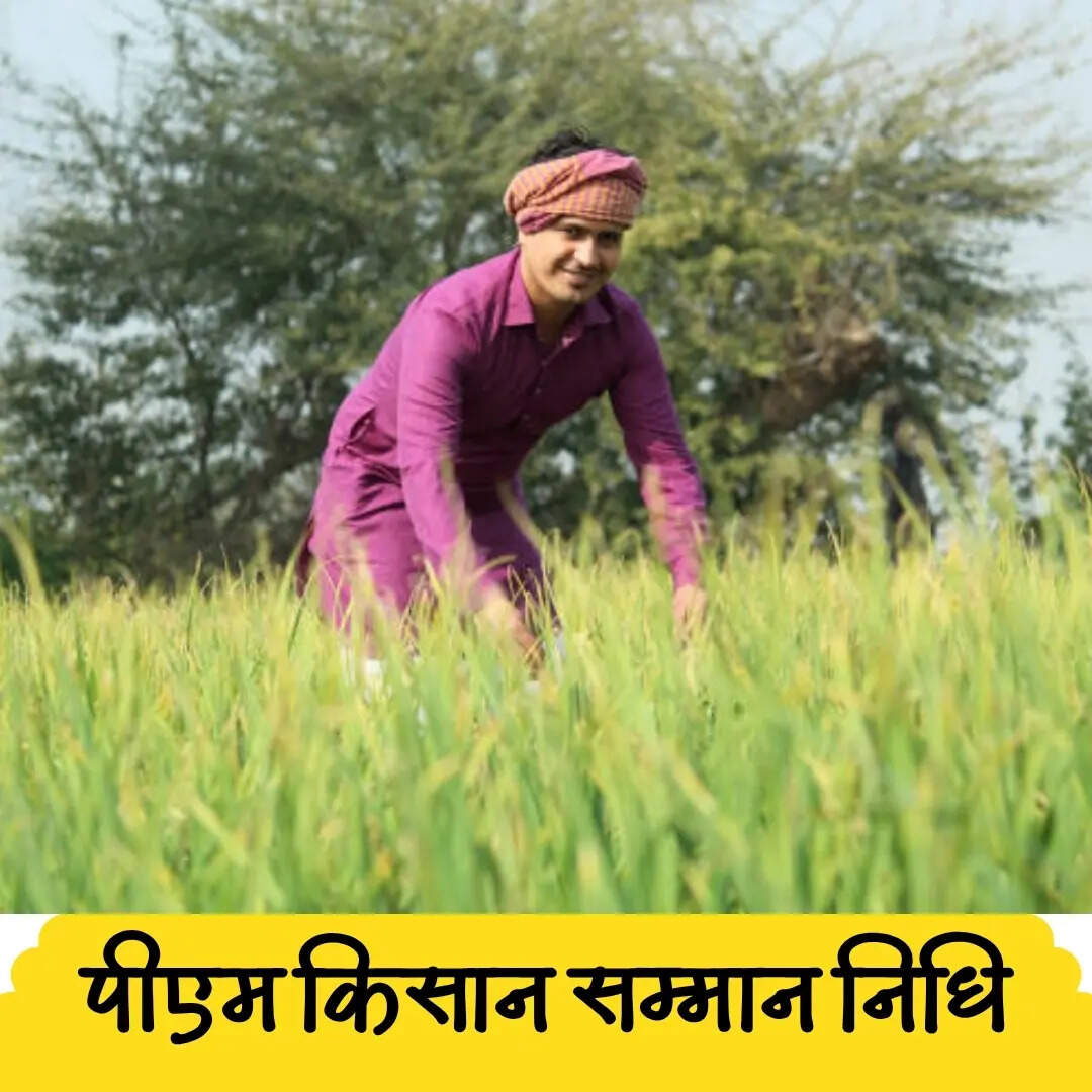 सालाना ₹6000 मिलते हैं 