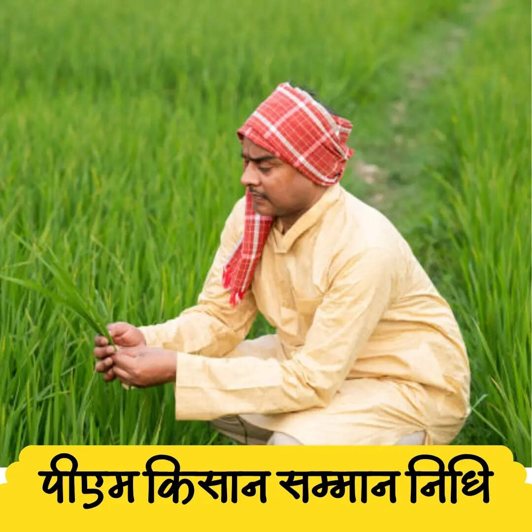 नहीं आई राशि? इस हेल्पलाइन नंबर पर करें कॉल​
