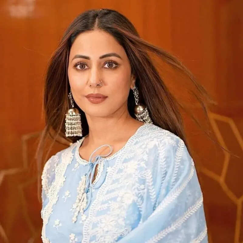कैंसर रिकवरी के बीच हिना खान को एक साल तक नहीं मिला कोई काम