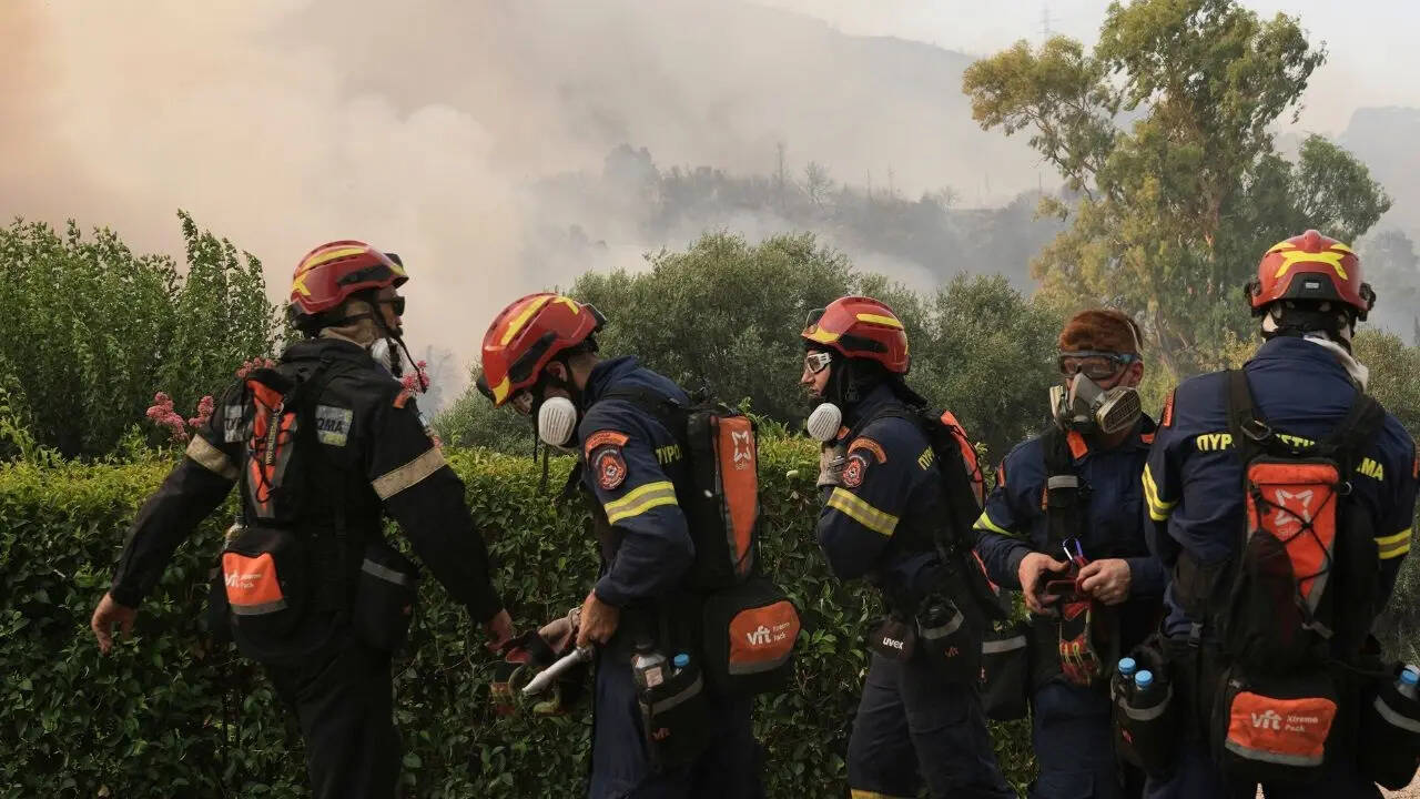 तुर्किये में वन कर्मचारी की मौत