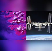 NASA के एस्ट्रोनॉट ने अंतरिक्ष से दिखाई गंगा नदी डेल्टा की अद्भुत तस्वीर आज तक नहीं देखा होगा ऐसा नजारा