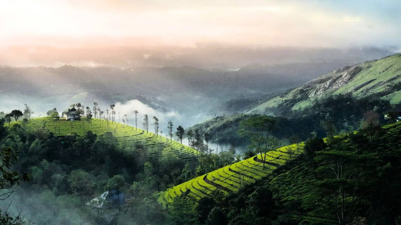 वायनाड केरल