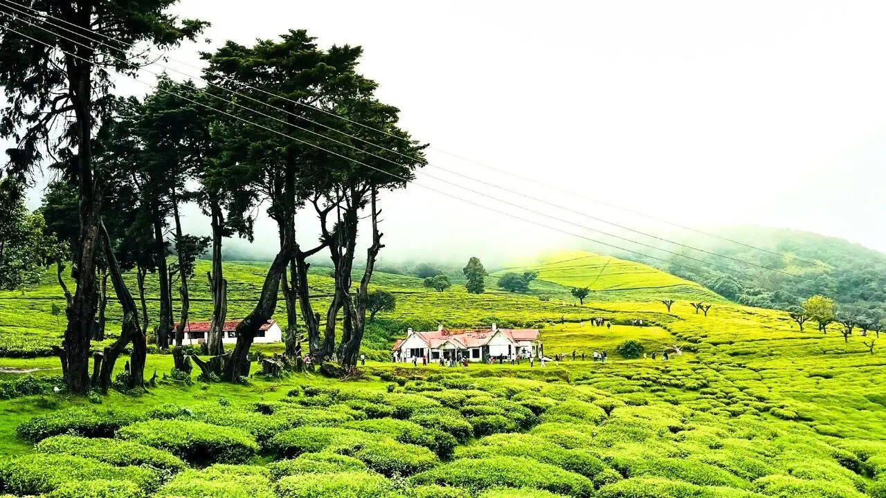 नीलगिरि की पहाड़ियां तमिलनाडु