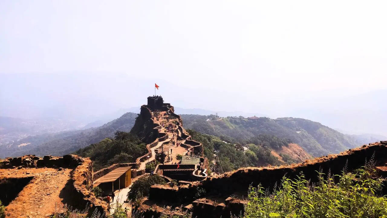 सबसे बड़ा उत्पादक