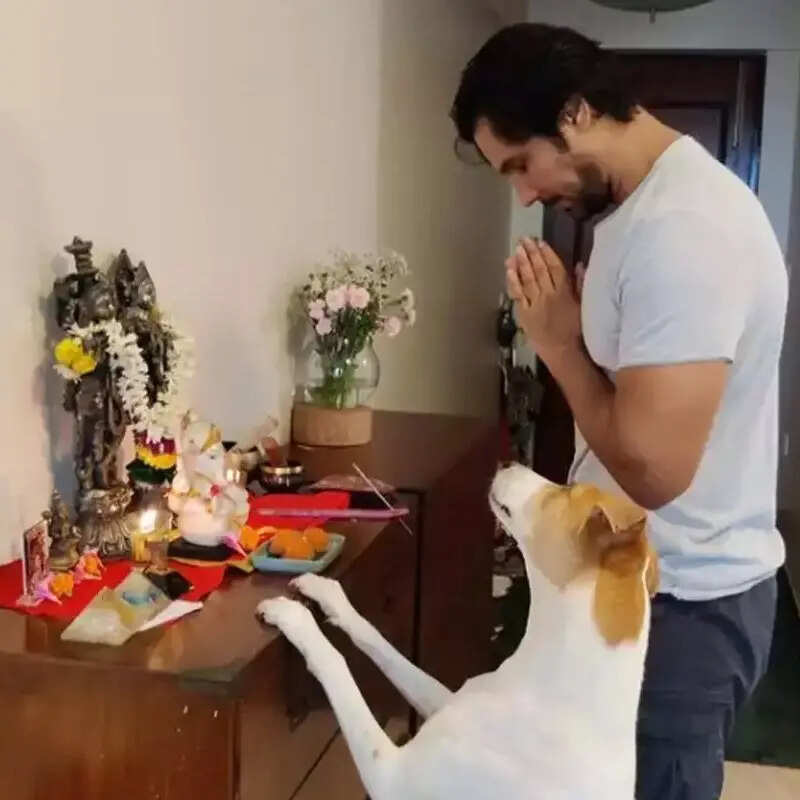 रणदीप हुड्डा के साथ पूजा करता है उनक डॉग