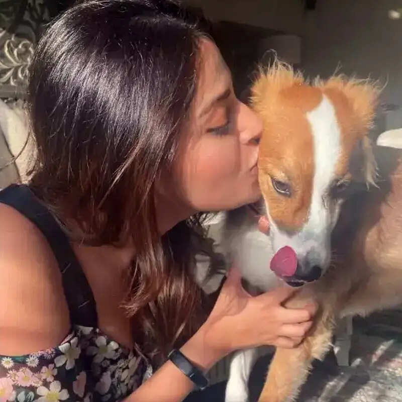 अनुष्का रंजन की जिंदगी को स्ट्रीट डॉग ने किया गुलजार