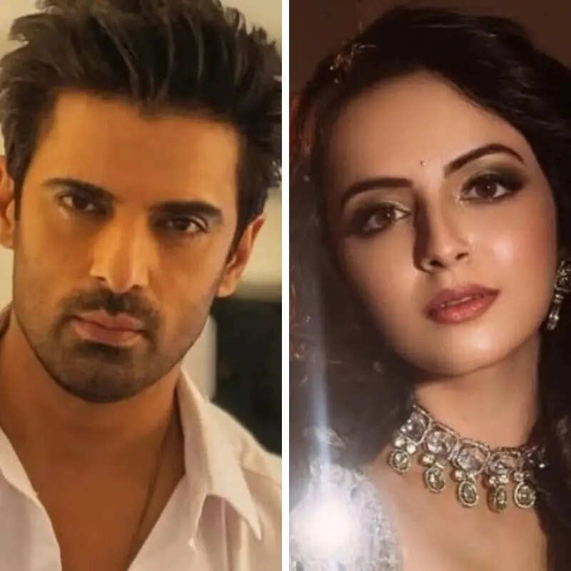 सोनी सब के नए शो में नजर आएंगे मोहित मलिक और श्रेणु पारेख