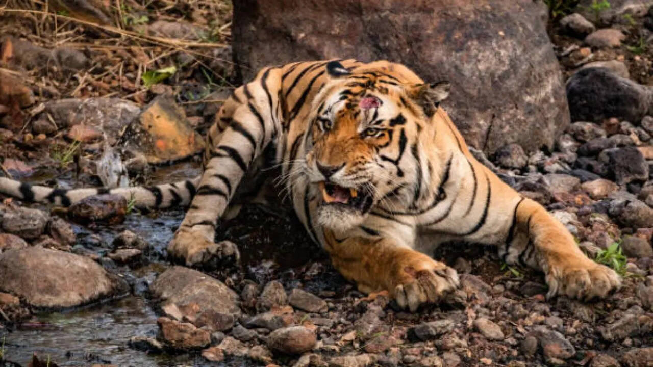 दुनिया की 75 परसेंट आबादी भारत में