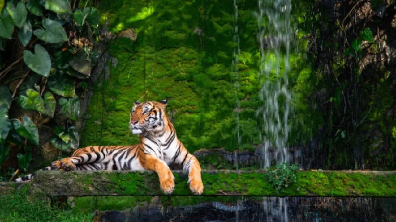 हमारे पड़ोसी देश का भी राष्ट्रीय पशु