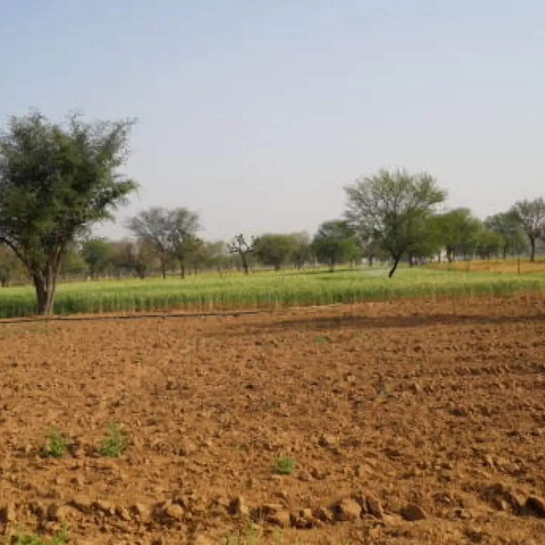 खतौनी प्रक्रिया का होगा पूर्ण डिजिटलीकरण
