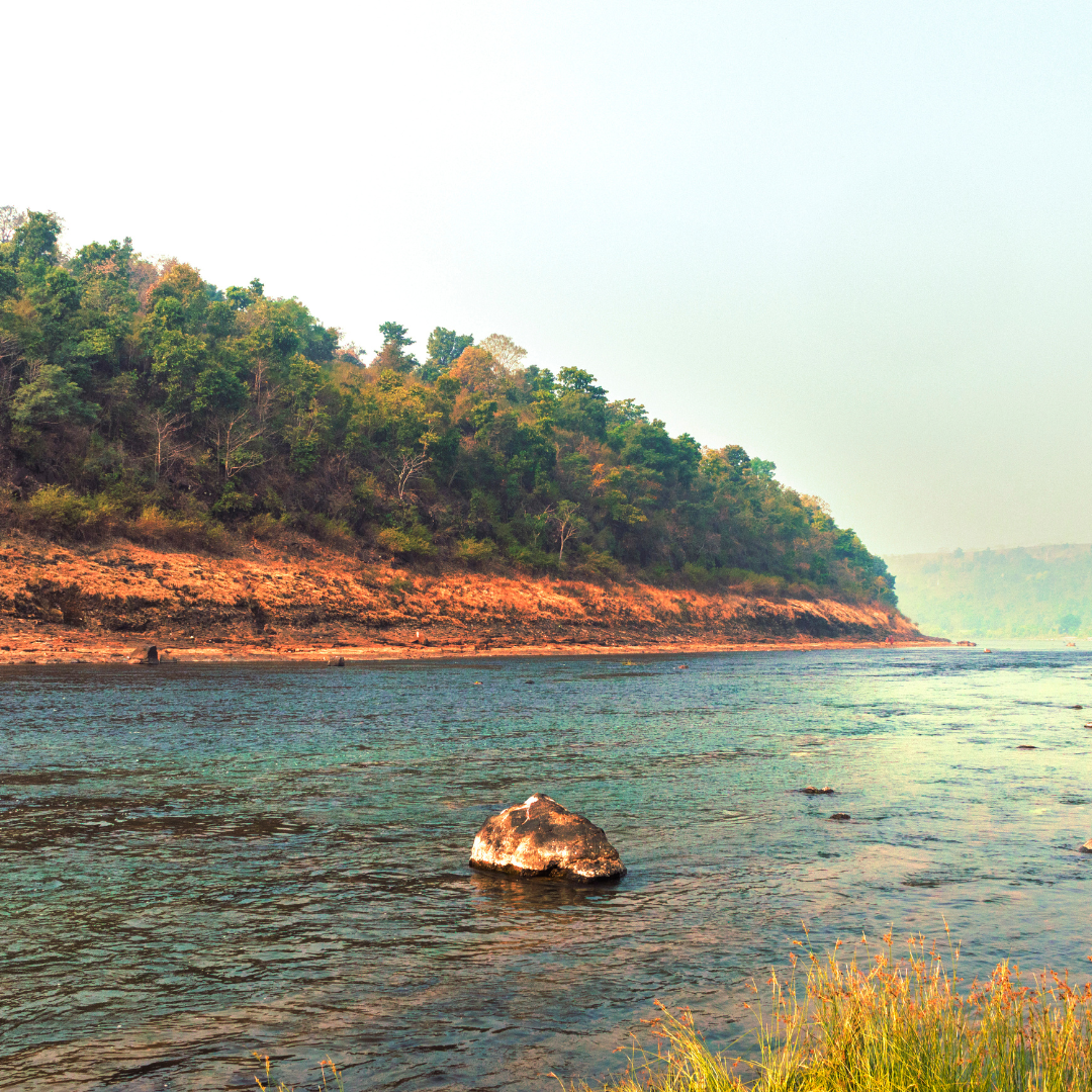 नर्मदा नदी