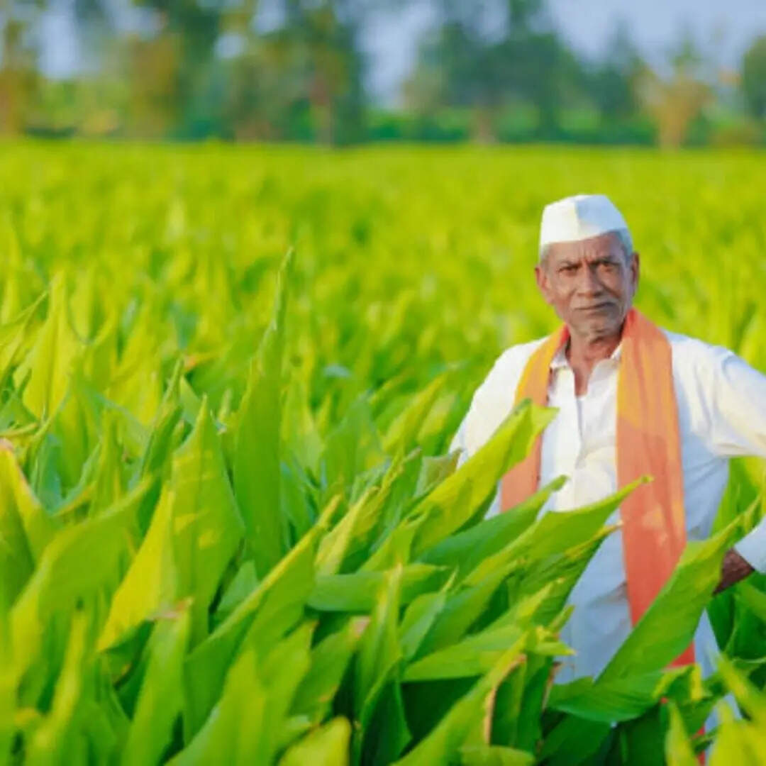 e-KYC कराने के दो तरीके