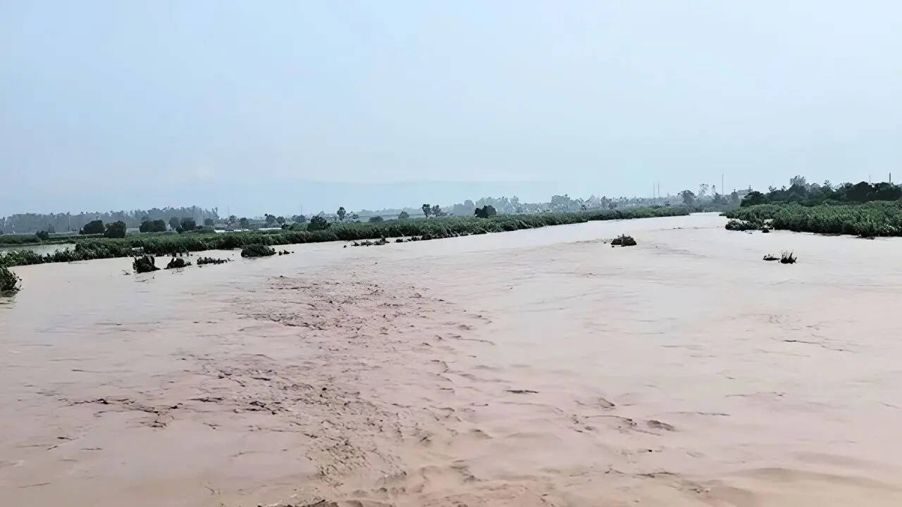 पंजाब में बाढ़ कैसे आई