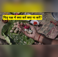 Pitru Paksha Me Kya Kare Kya Na Kare क्या पितृपक्ष में खा सकते हैं प्याज-लहसुन मंदिर जा सकते हैं या नहीं जानें पितृ पक्ष में क्या करें क्या ना करें