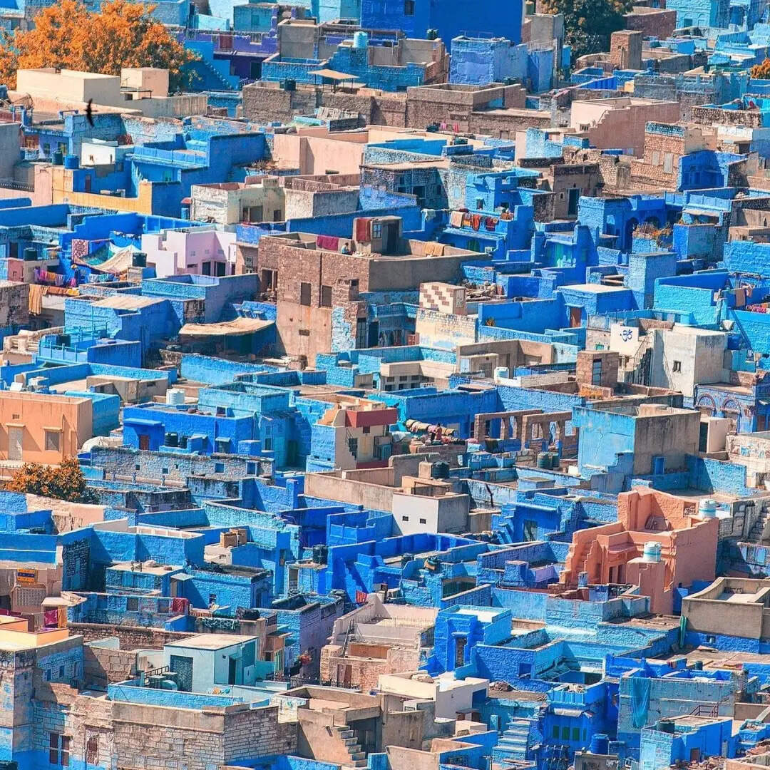 क्या खांए