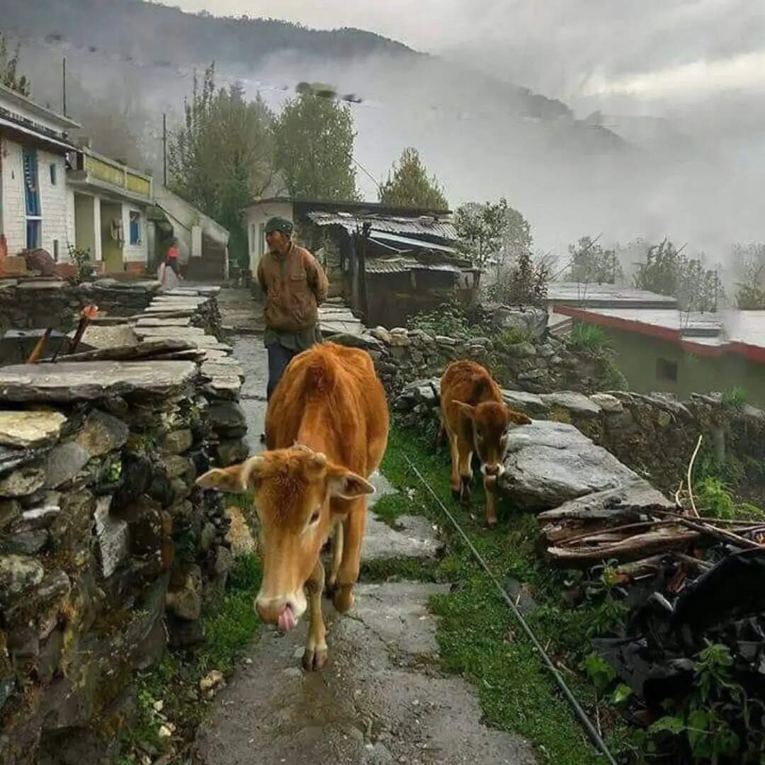 कैसे पहुंचें